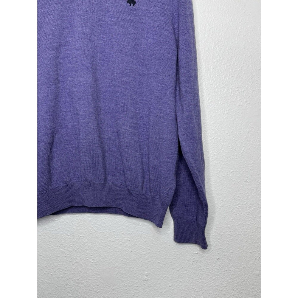 Brooks Brothers 346 Sweater Men’s M Purple Merino Wool V Neck Pullover Academia - Picture 5 of 16